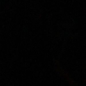 Meet your Posher, Samuel